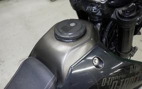 KAWASAKI KLX250D TRACKER X 2021 LX250V