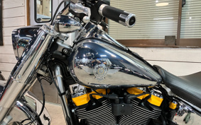 HARLEY FLSTFI 2025 BD9