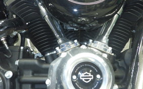 HARLEY FXST1750 2024