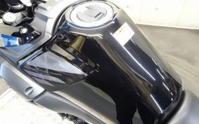 SUZUKI STROM 250 DS11A