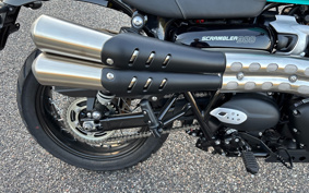TRIUMPH SCRAMBLER 2026 D5BG27