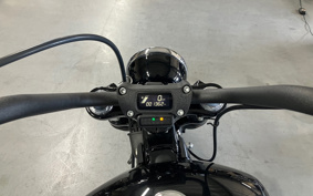 HARLEY FXBB 2018 YJJ