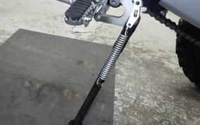 YAMAHA WR250R 2019 DG15J