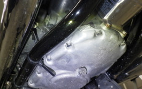 KAWASAKI W800 2017 EJ800A