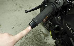 HUSQVARNA SVARTPILEN 401 2024