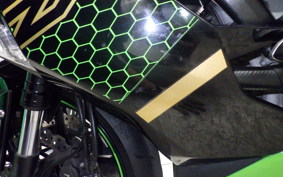 KAWASAKI NINJA ZX-6R A 2020 ZX636G