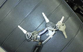 TRIUMPH BONNEVILLE サイドカ- 2010