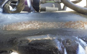 OTHER +UNREGISTERED MODEL by BDS 2022