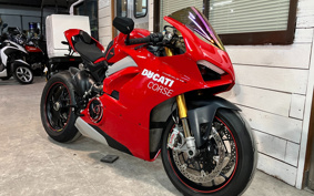 DUCATI PANIGA-REV4S 2019 DA00J