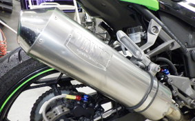 KAWASAKI NINJA 250 ABS EX250L