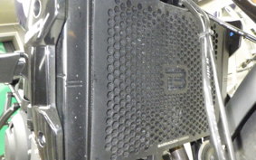 TRIUMPH TRIDENT 660 2024