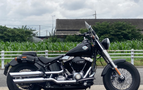 HARLEY FLS 2018 JRV
