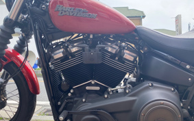 HARLEY FXBB 2019 YJJ