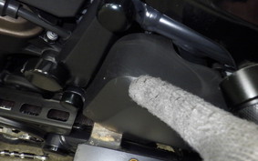 HARLEY RH1250S 2022