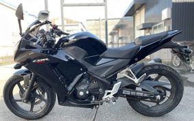 HONDA CBR250R MC41