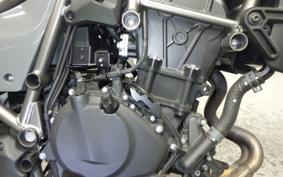 KAWASAKI ELIMINATOR400-3 2024 EL400A