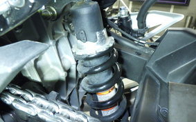 KAWASAKI NINJA 250 2010 EX250P