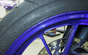 YAMAHA YZF-R15 2006 RG86J