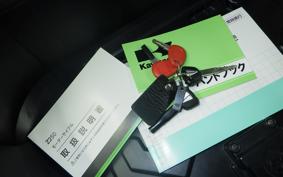 KAWASAKI Z250 Gen.2 EX250P