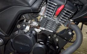 HONDA HORNET 2.0