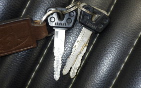 YAMAHA DRAGSTAR 250 2001 VG05J