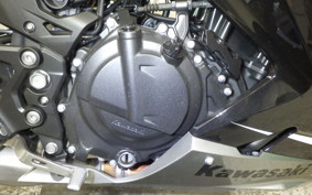 KAWASAKI NINJA 250 2 2021 EX250Y