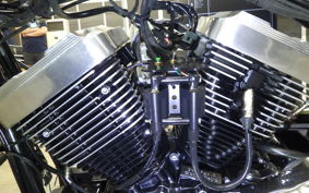OTHER THUNDER 250 2011