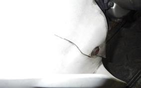 HONDA C110 SUPER CUB 1993 JA10