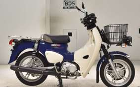 HONDA C110 SUPER CUB JA61
