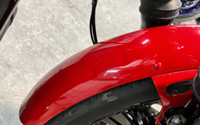 HARLEY FXBBS 2023 YYK