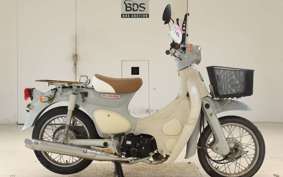 HONDA LITTLE CUB E AA01