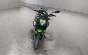 KAWASAKI Z250 SL BR250E