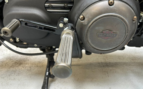 HARLEY XL1200X FINAL ED 2022 LC3
