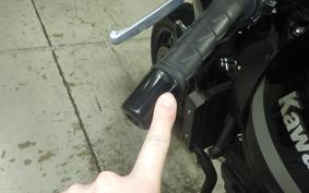 KAWASAKI Z900RS CAFE 2021 ZR900C