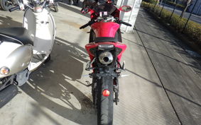 OTHER +ﾒｶﾞﾘ250R