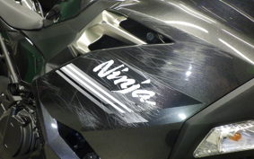 KAWASAKI NINJA 250 EX250P