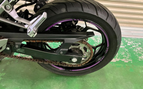 KAWASAKI NINJA 250 EX250L