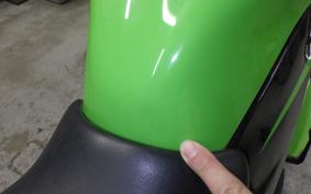 KAWASAKI NINJA 250 SL 2022 BX250A