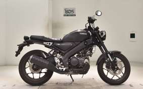 YAMAHA XSR155