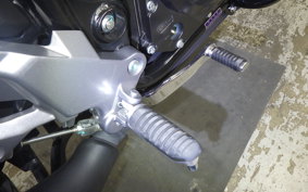 SUZUKI Vｽﾄﾛｰﾑ250A 2024