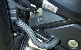 HUSQVARNA SVARTPILEN 401 2022