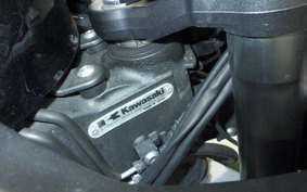 KAWASAKI NINJA 1000SX 2021 ZXT02K