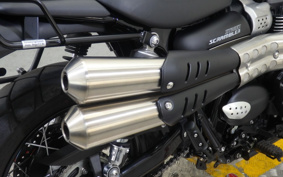 TRIUMPH  TRIUMPH  STREET  SCRAMBLER  2020 DAD78G