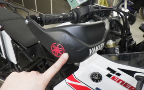 YAMAHA TENERE 700 2020 DM09J