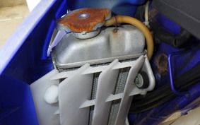 YAMAHA WR250F E CG16W