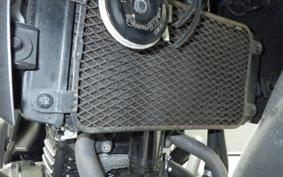 SUZUKI Vｽﾄﾛｰﾑ250 2012