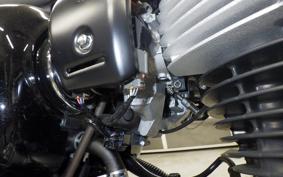 KAWASAKI W800 2024 EJ800E