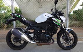 KAWASAKI Z250ABS EX250P