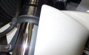 YAMAHA FZ1 FAZER 2014 RN21J