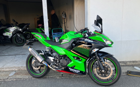 KAWASAKI NINJA 400 KRT ED 2020 EX400G